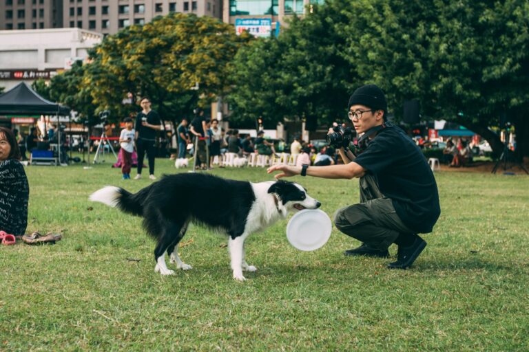 Off-Leash Training for Pet Dogs: How to Build Freedom Without Losing Control