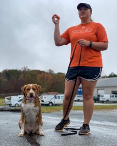 Dog trainer teaching a dog to heel using leash commands